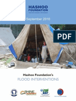 Hashoo Foundations's Flood Interventions