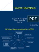 Benign Prostat Hiperplazisi