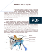 Anatomofisiologia do sistema auditivo.pdf