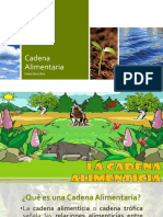 Cadena Alimentaria.pptx