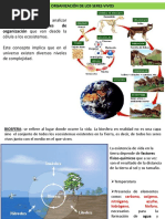 Organización de Los Seres Vivos