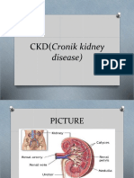 CKD (Cronik Kidney Disease)