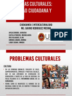 Problemas Culturales PDF