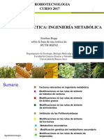 Ingenieria Metabolica Fondo Blanco2017