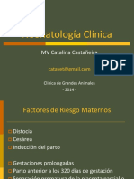 Neonatologia Clinica Veterinaria