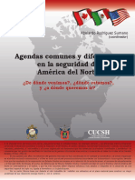 Agendas Comunes PDF