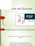 Transporte de Glucosa