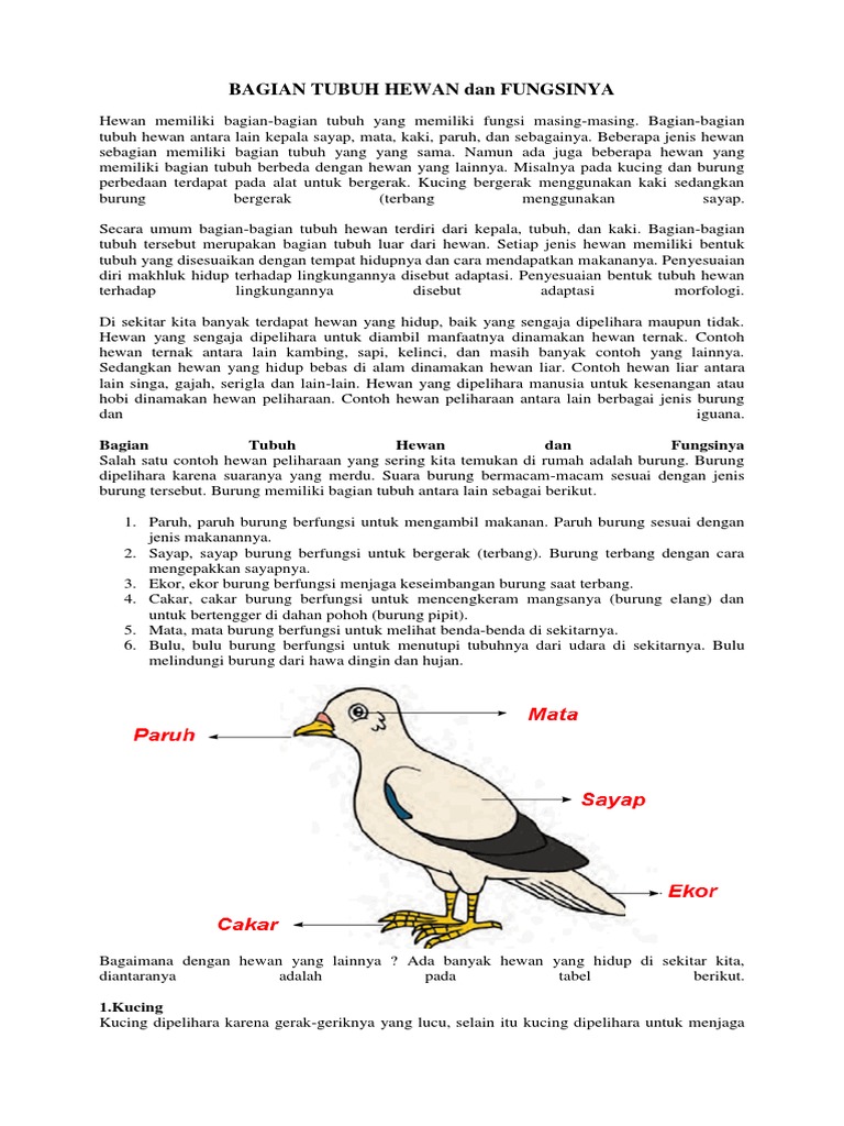 Bagian Tubuh Hewan Dan Fungsinya Pdf