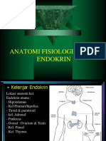 Sistem Endokrin