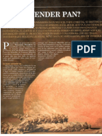 Panorama-Panadero PDF