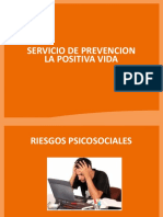 16 Riesgos Psicosociales