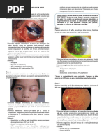 Clasificaciones de Roper Hall y Dua | PDF