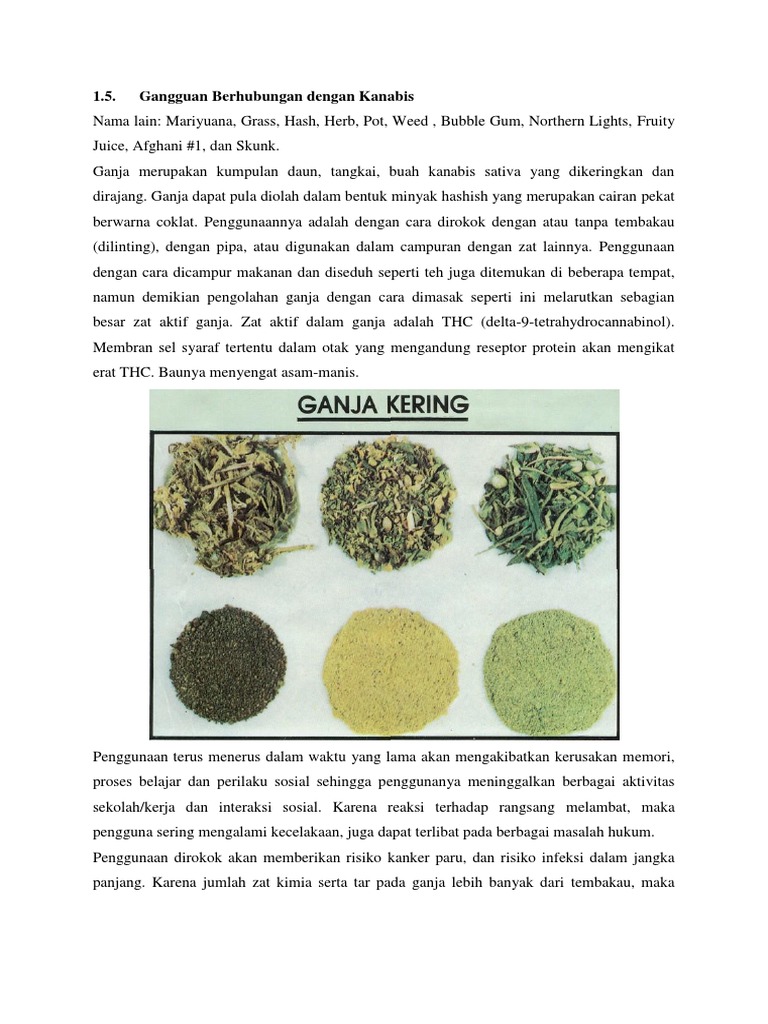 Referat Zat Intoksikasi Pdf