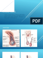 TORSIO TESTIS.pptx