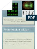 Clase 18 Mitosis y Meiosis