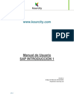 Manual de Proceso Curso SAP Intro 1