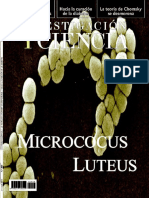Microbiología Micrococcus Luteus