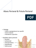 Abses Perianal & Fistula Perianal