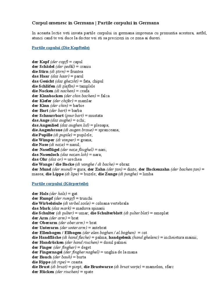 Corpul Omenesc in Germana Partile Corpului in Germana | PDF