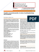 Jaundice Associated Pruritis: A Review of Pathophysiology and Treatment