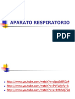  Desarrollo Aparato Respiratorio