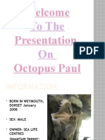 Welcome Presentation Octopus Paul: To The On