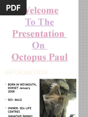 Octopus