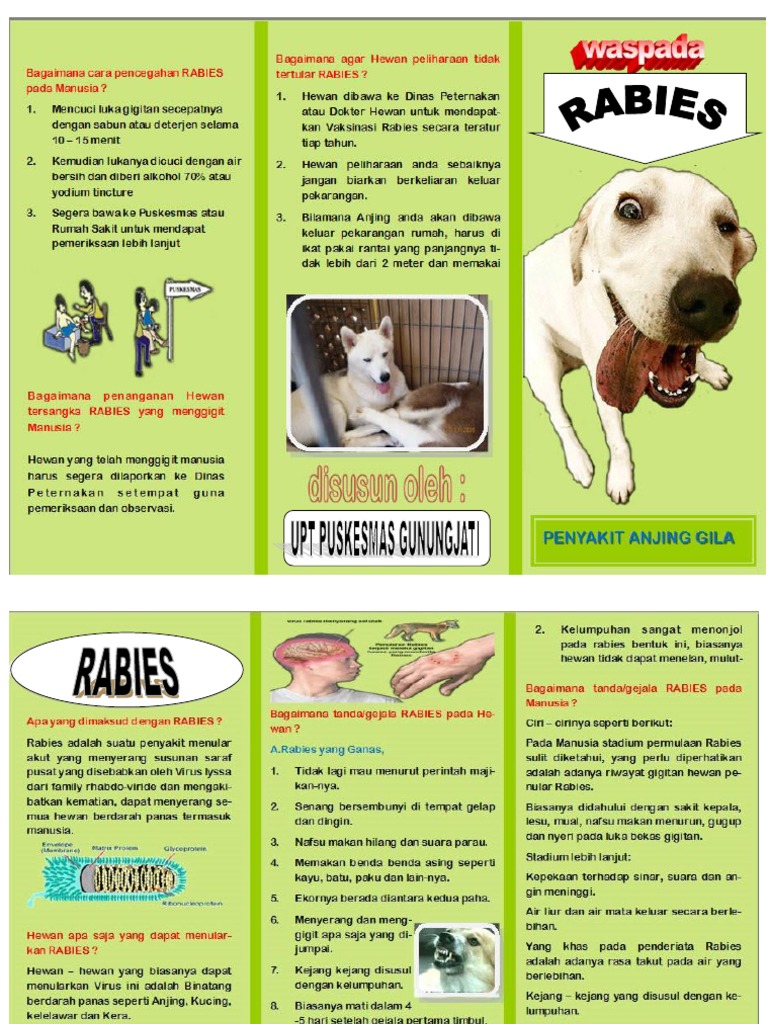 Leaflet Rabies  PDF