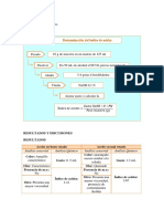 Informe 1 Avance