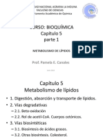 Cap.5 Parte 1 PCM PDF