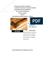 Informe de Romano. Modulo v. Grupo 3