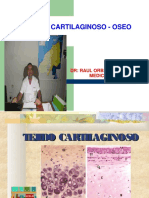 7) Tejido Cartilaginoso - Oseo