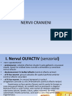 Nervii Cranieni Cefalee