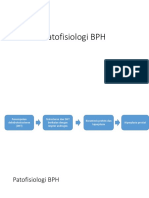 BPH Patofisiologi dalam