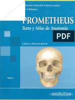 Neuroanatomia Prometheus