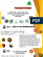 Certificaciones agroindustriales: ISO, HACCP, GLOBAL GAP y más