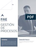 Pae Oca 4 Gestion Procesos