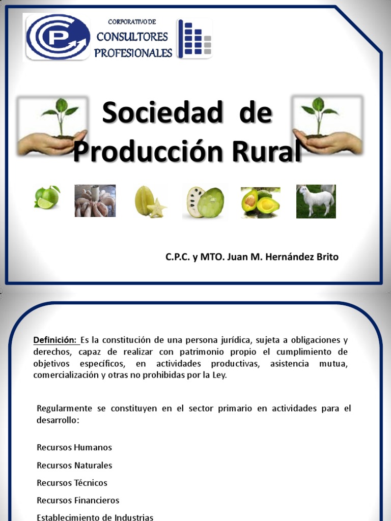 951 Sociedad de Produccion Rural | Sociedad de responsabilidad limitada ...