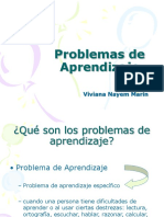 Problemas de Aprendizaje