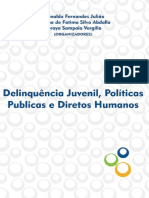 5- Livro_Seminario_Delinquencia Juvenil Politicas Publicas e Direitos Humanos versao final.pdf