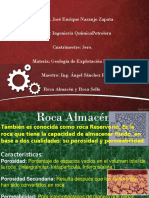 Geologia Roca Almacen y Sello Caracteris