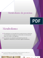 Metabolismodeprotenas 150708030559 Lva1 App6891