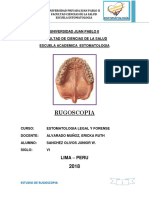 Monografia Final de Rugos