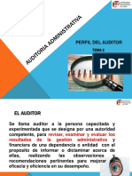 Perfil Del Auditor PDF