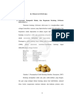 Kentang PDF