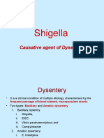 Shigella