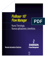 FB107 Presentacion - PPT