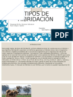 Tipos de Hibridacion