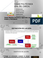 Expocicion BPA para Frutas y Hortalizas