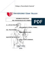 Informe de prácticas pre profesionales del primer año en estudio jurídico